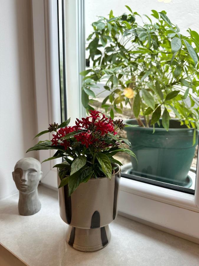 Olive View Apartment Brela Eksteriør billede